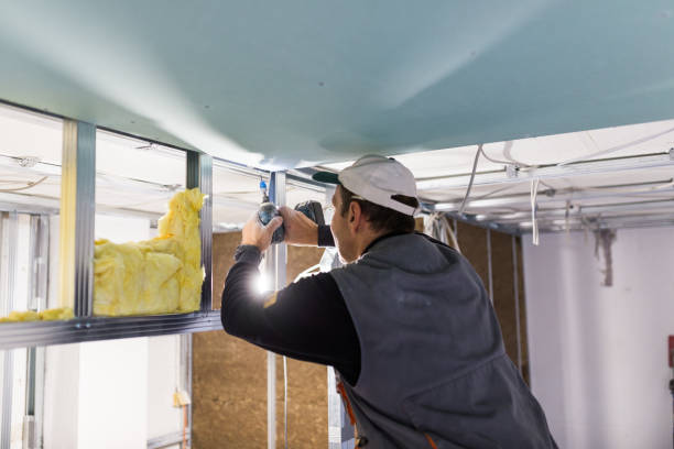 Best Cellulose Insulation in St Croix Falls, WI