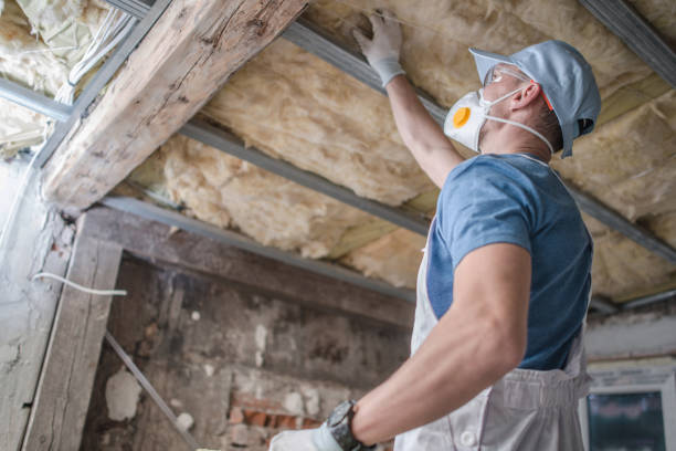 Best Residential Insulation in St Croix Falls, WI