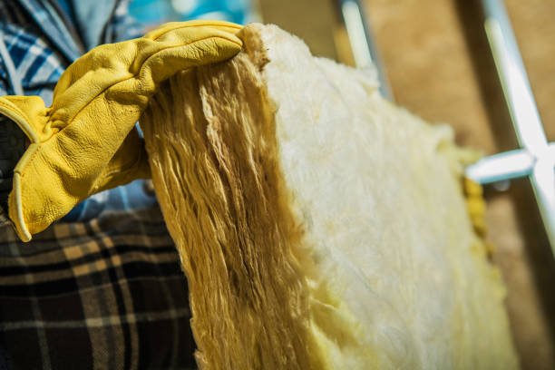 Best Geographic-Specific Insulation Services in St Croix Falls, WI